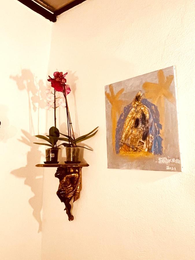 Casa Les Bambous Διαμέρισμα Νιμ Εξωτερικό φωτογραφία