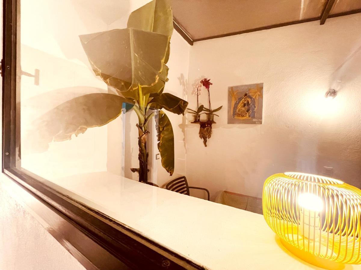 Casa Les Bambous Διαμέρισμα Νιμ Εξωτερικό φωτογραφία